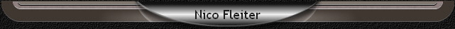 Nico Fleiter